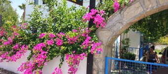 Noda Apart - Adults Only