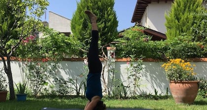 Noda Apart - Adults Only