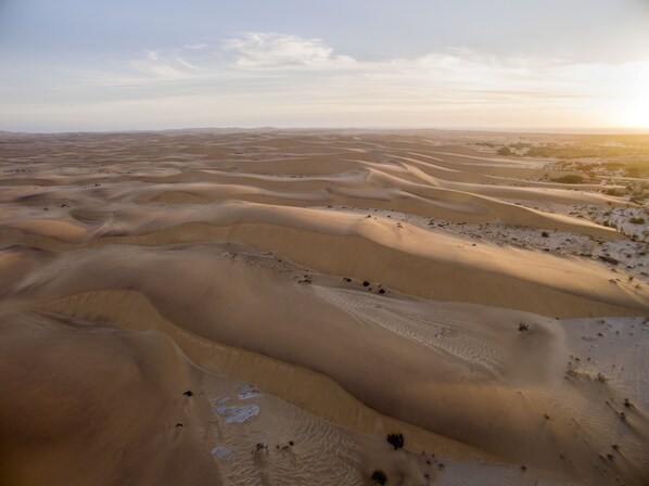 A vast desert landscape with undulating sand dunes and sparse vegetation. - Desert Breeze Lodge (Swakopmund)