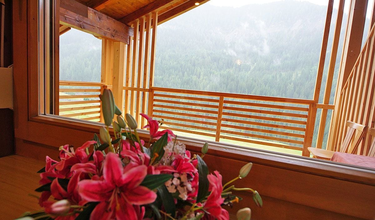 Panoramic-Doppelzimmer, Gartenblick | Ausblick vom Zimmer