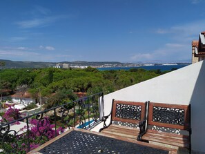 Suite estudio de lujo | Terraza o patio