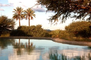 Outdoor pool, pool umbrellas, sun loungers