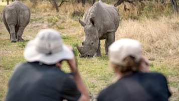 Game viewing