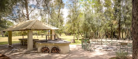 Jardin