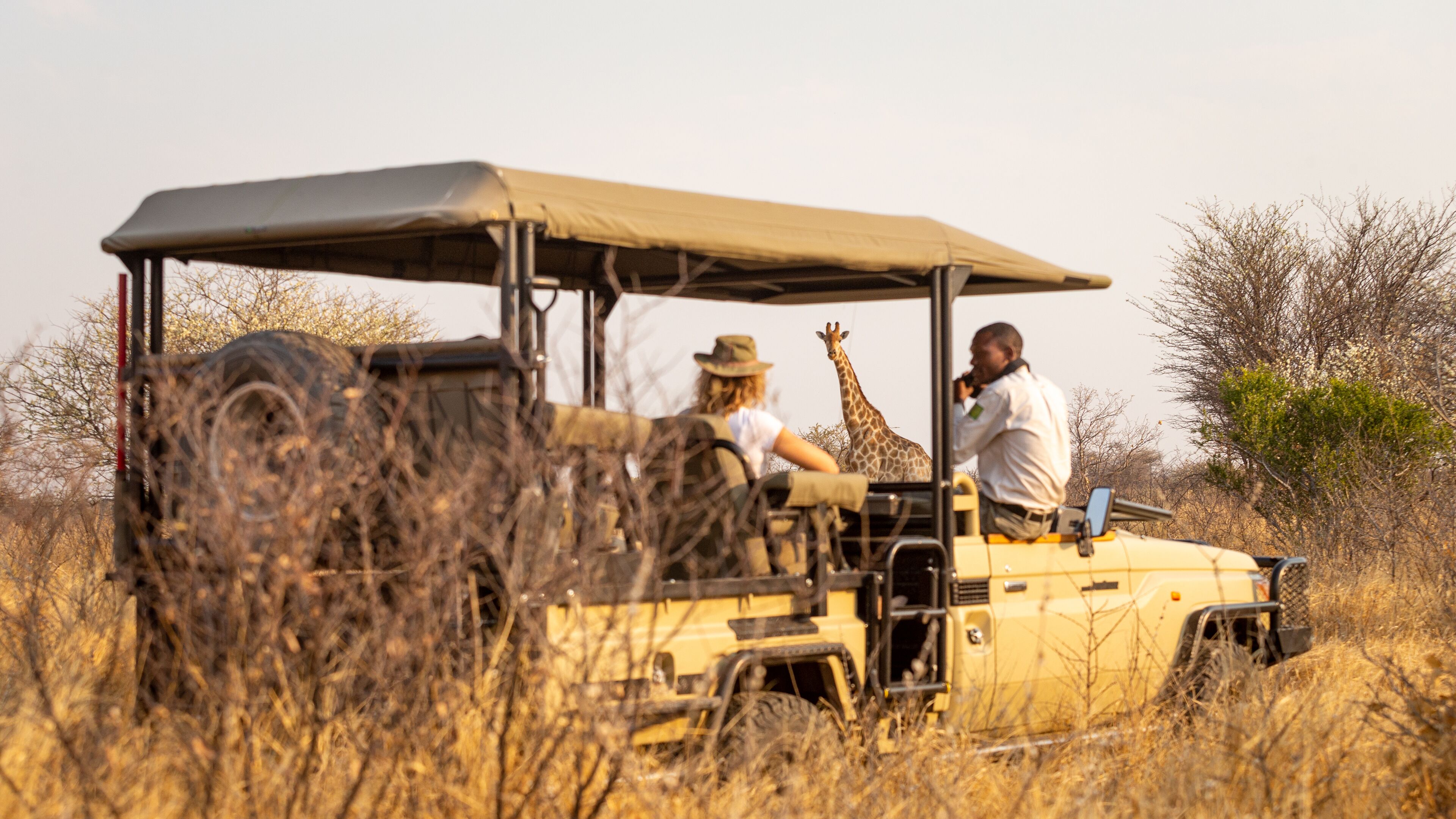 Ein Safarifahrzeug mit Verdeck, umgeben von trockenem Gras und vereinzelten Bäumen.
