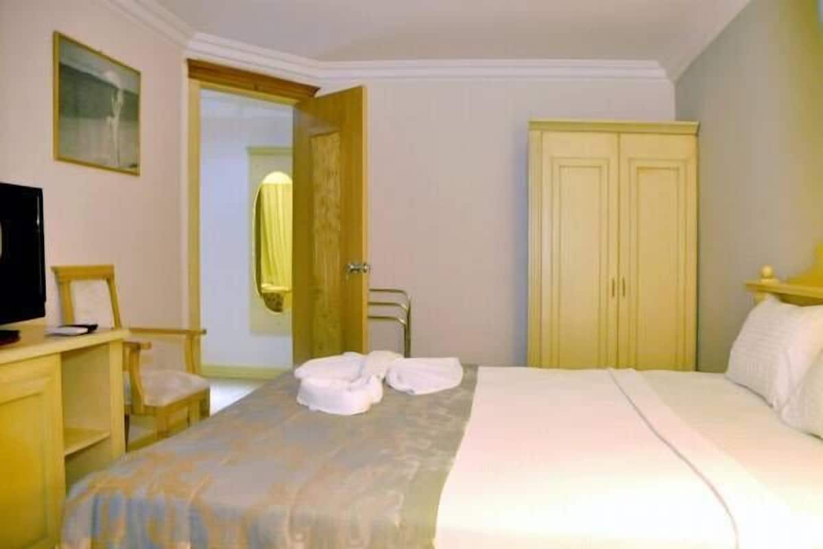 Standard Double or Twin Room | Minibar, in-room safe, desk, cribs/infant beds