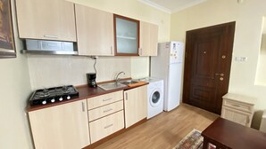 A compact kitchen with a gas stove, sink, washing machine, and a small refrigerator. - Sevin Hotel (Bodrum)