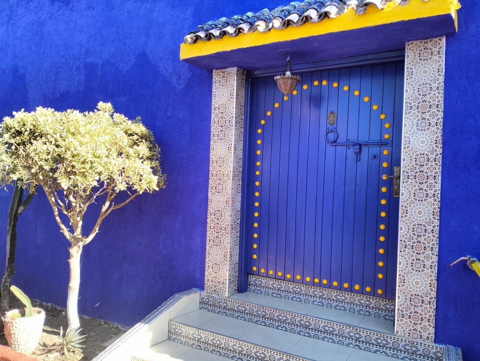 A blue door with a decorative metal ring, a small tree, and a tiled entrance.