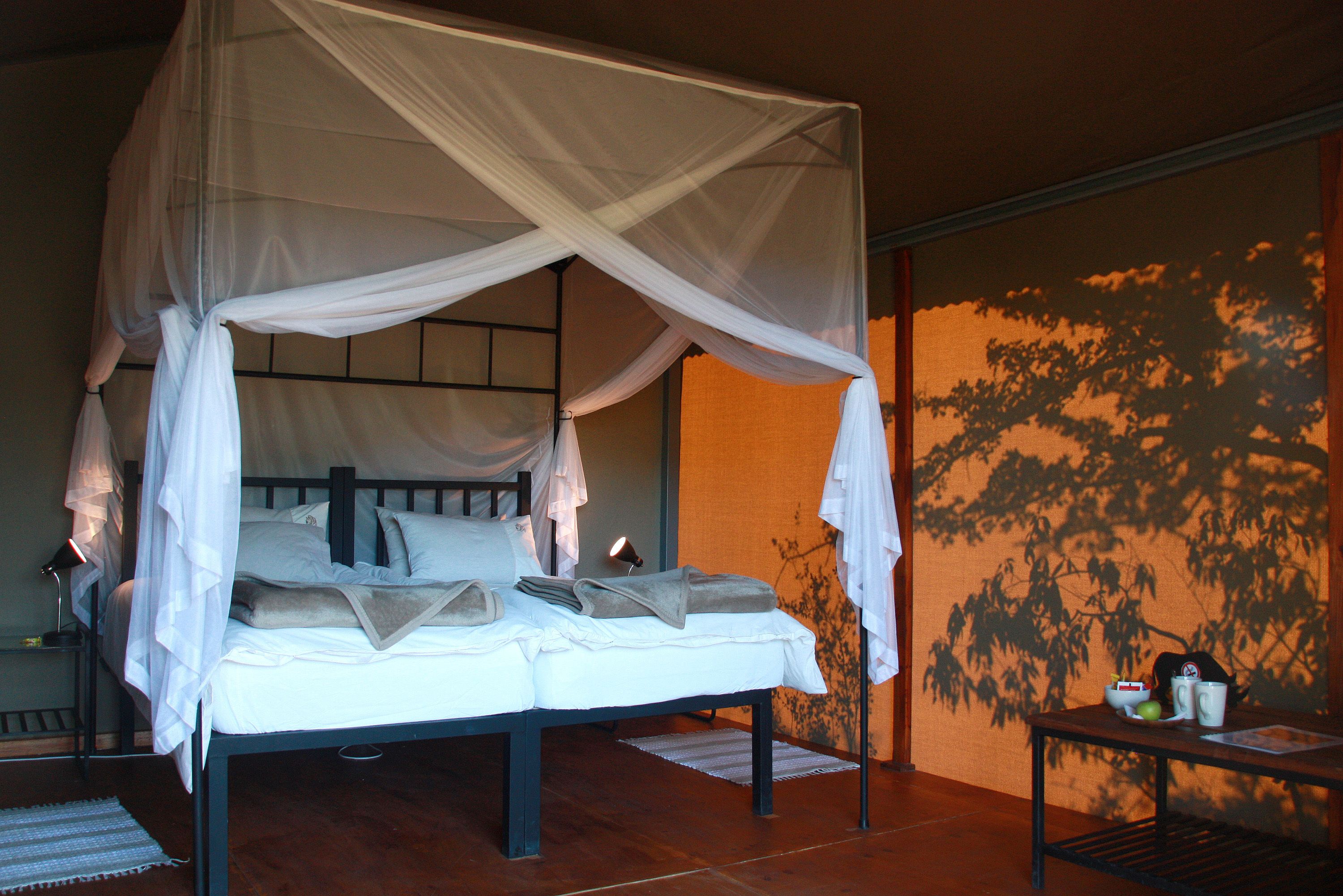 A bed with a canopy, a bedside table with a lamp, and a wall with a tree shadow.