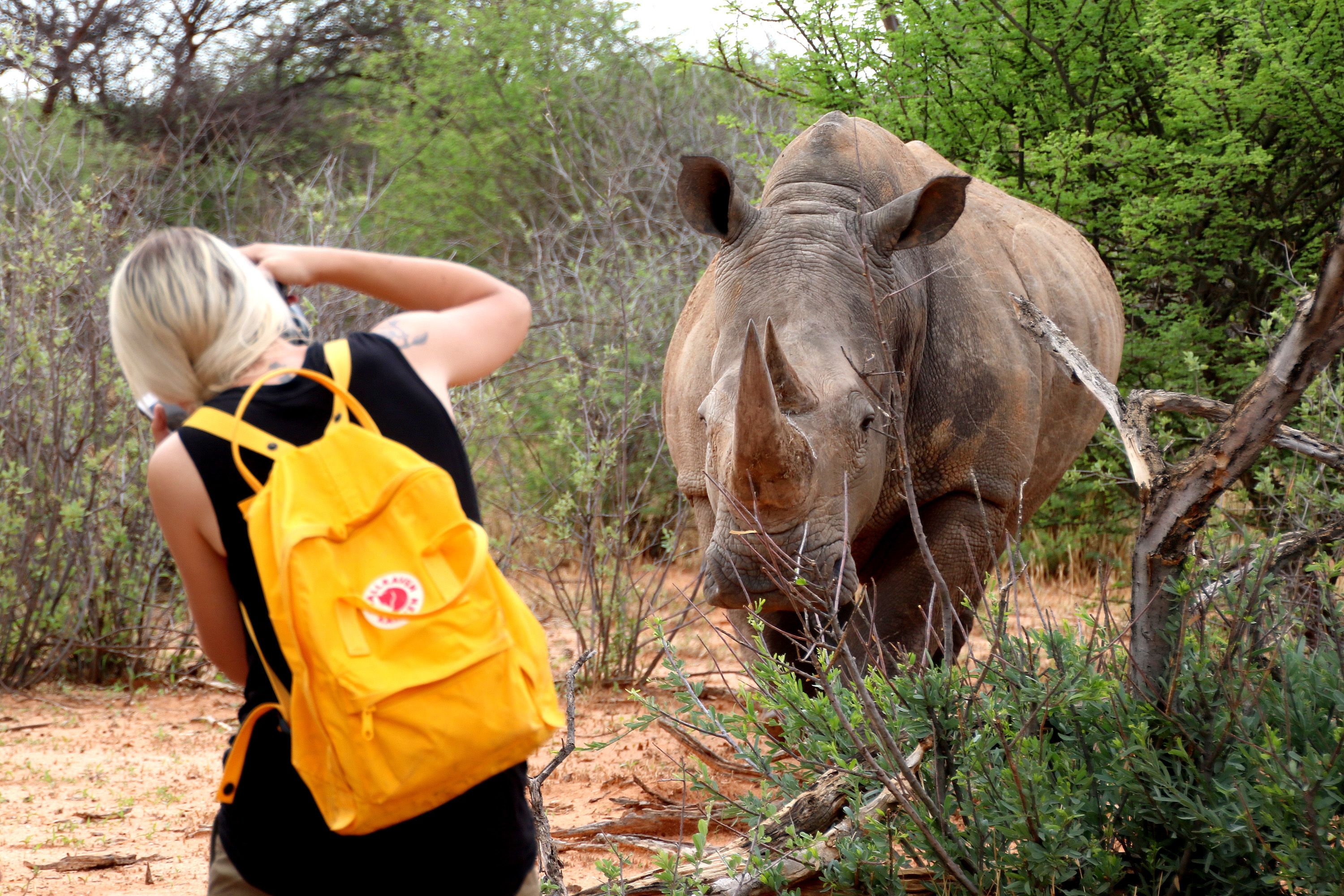 Une personne portant un sac à dos jaune, dans un environnement naturel, à proximité d’un rhinocéros.