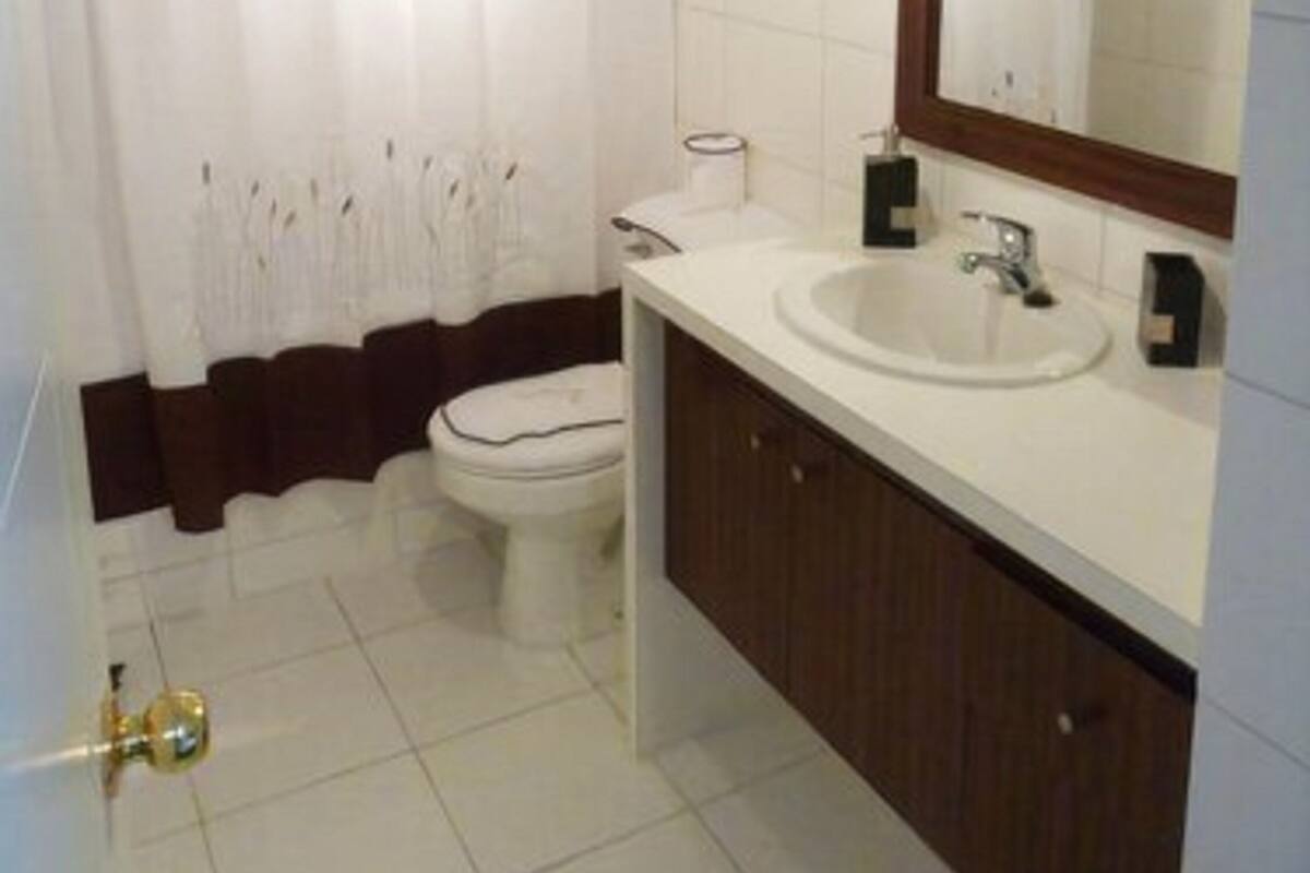 Bañera con ducha, secador de pelo, toallas, jabón