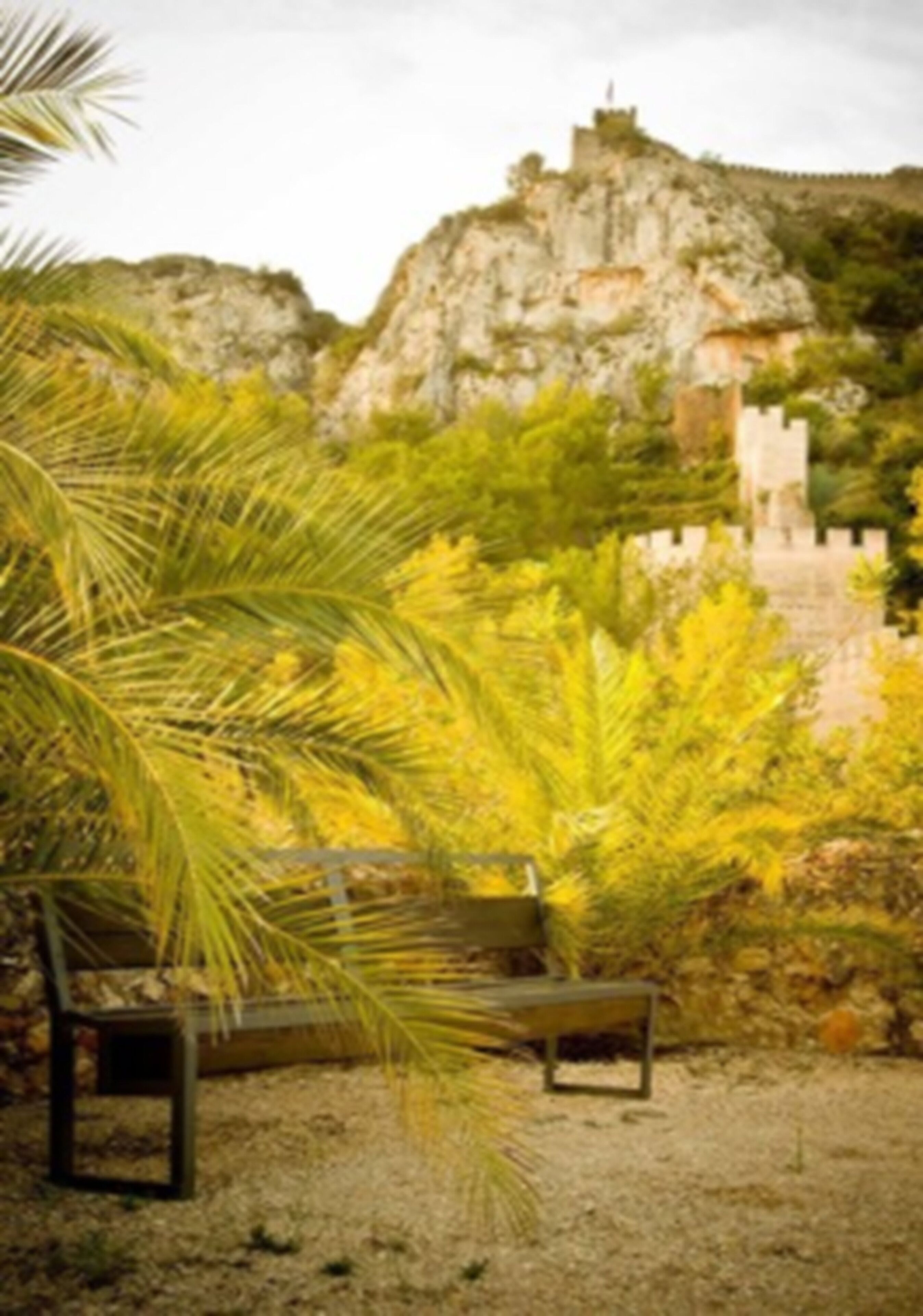 Photo - Mont-Sant Hotel