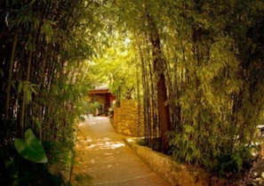 Property grounds - Mont-Sant Hotel (Xàtiva)