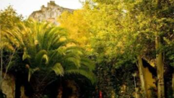 A swimming pool surrounded by lush greenery and a stone wall.
