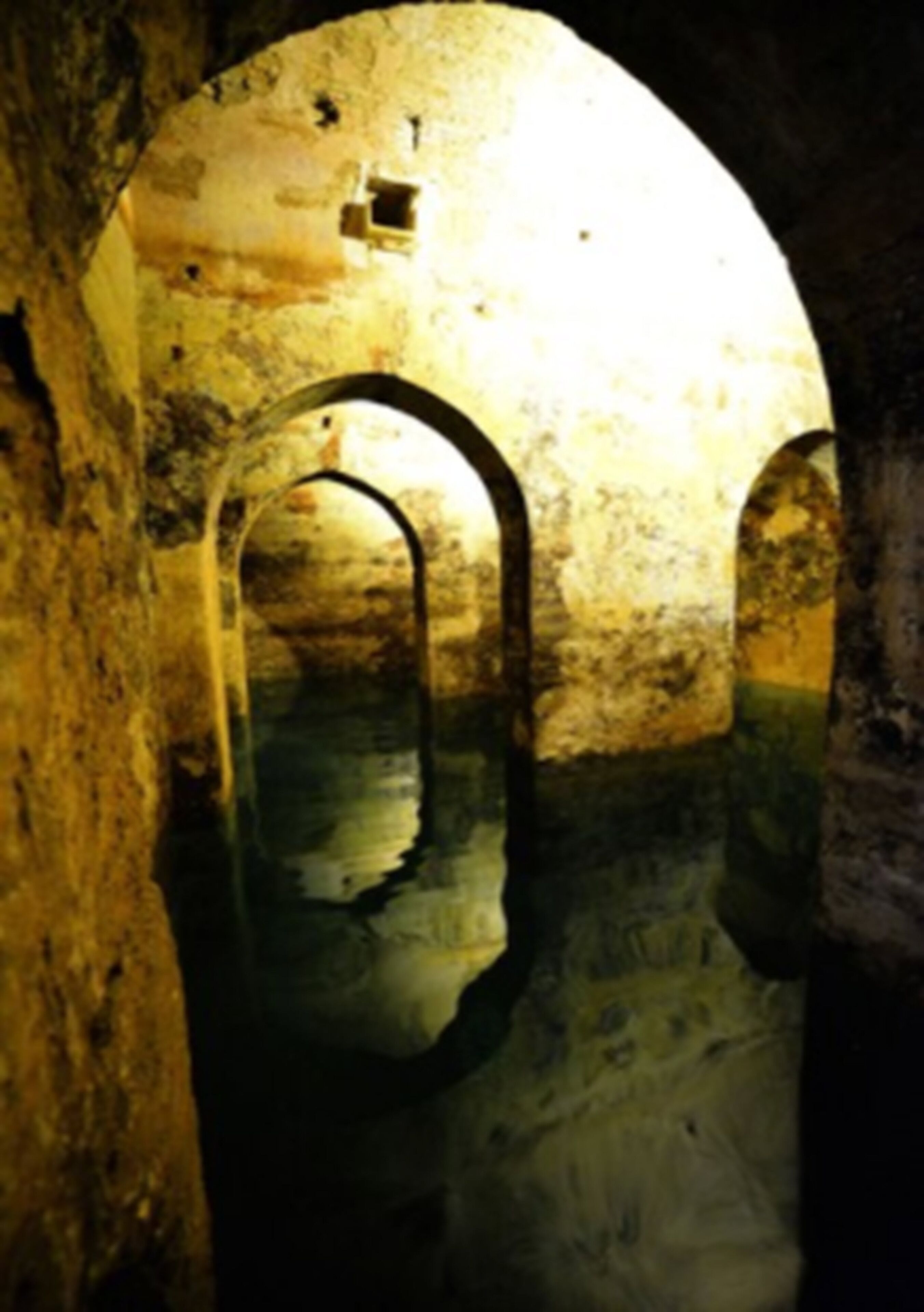Un couloir voûté en pierre, aux textures rugueuses et à la surface réfléchissante.