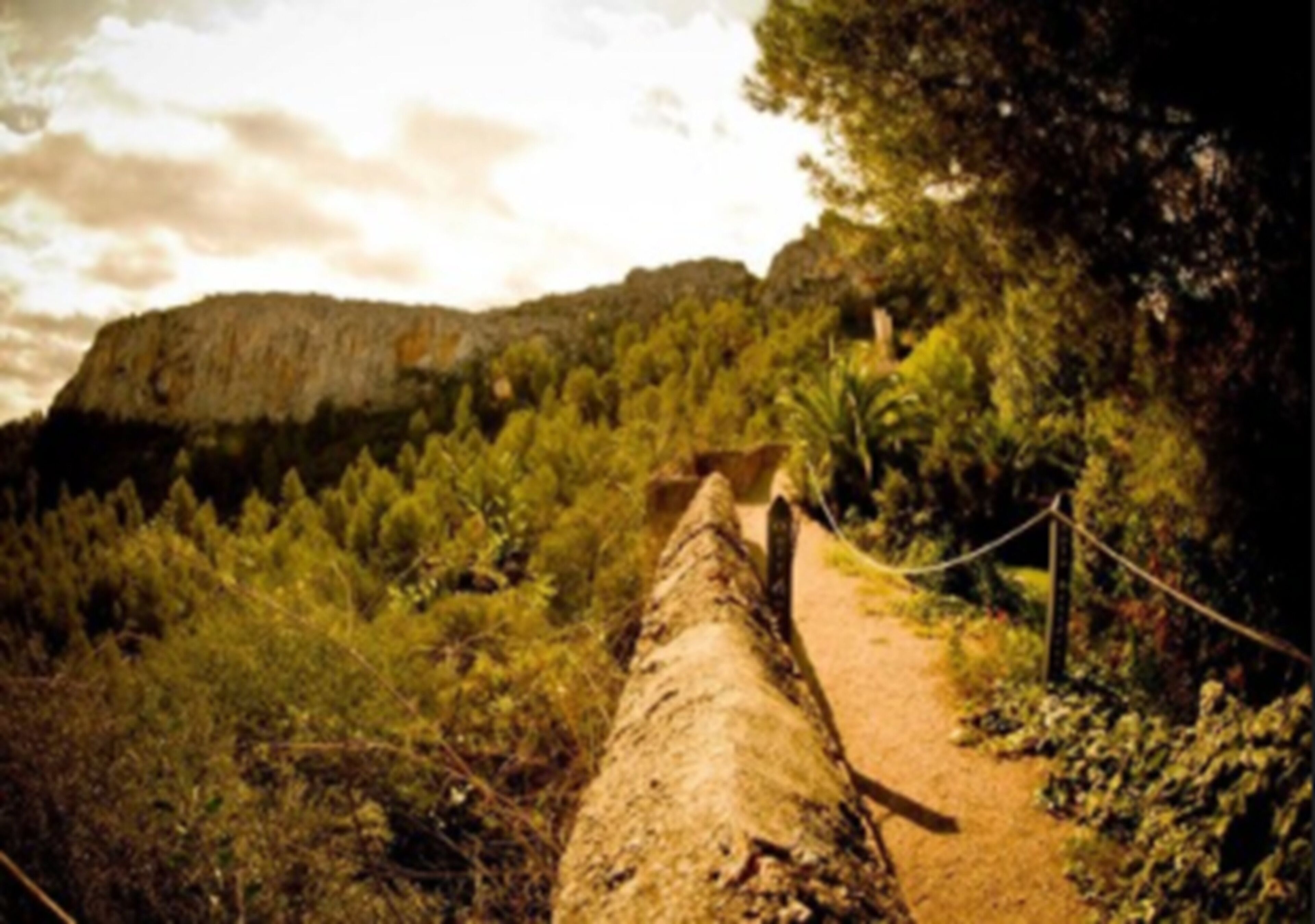 Photo - Mont-Sant Hotel
