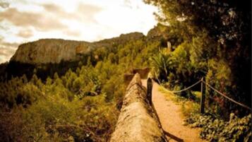 Un sendero de tierra que serpentea por un área boscosa, con una gran formación rocosa al fondo.
