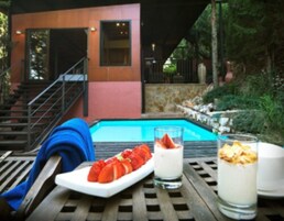 Suite, piscina privada (+ Jacuzzi) | Comida y bebida