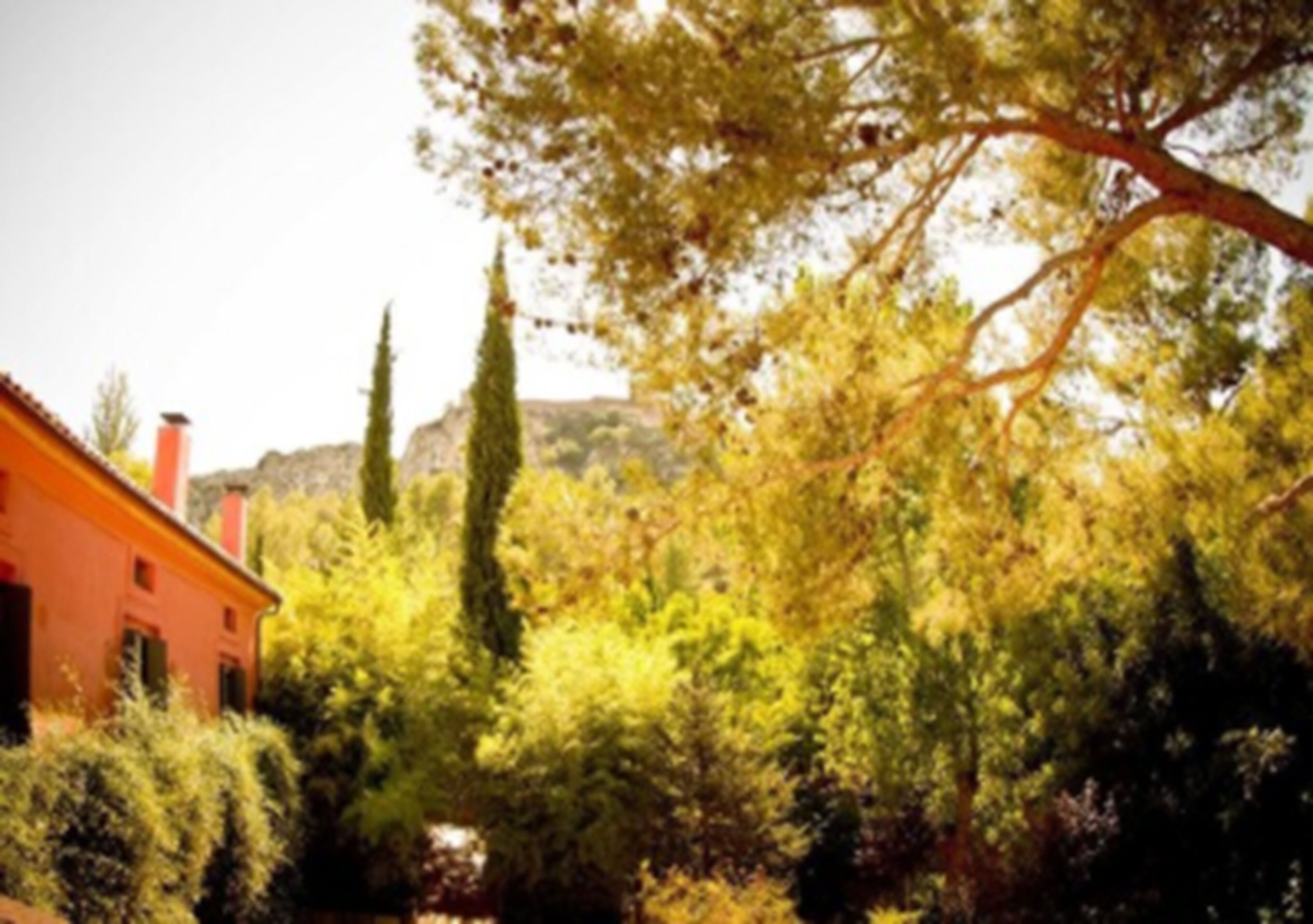 A building surrounded by trees and vegetation.