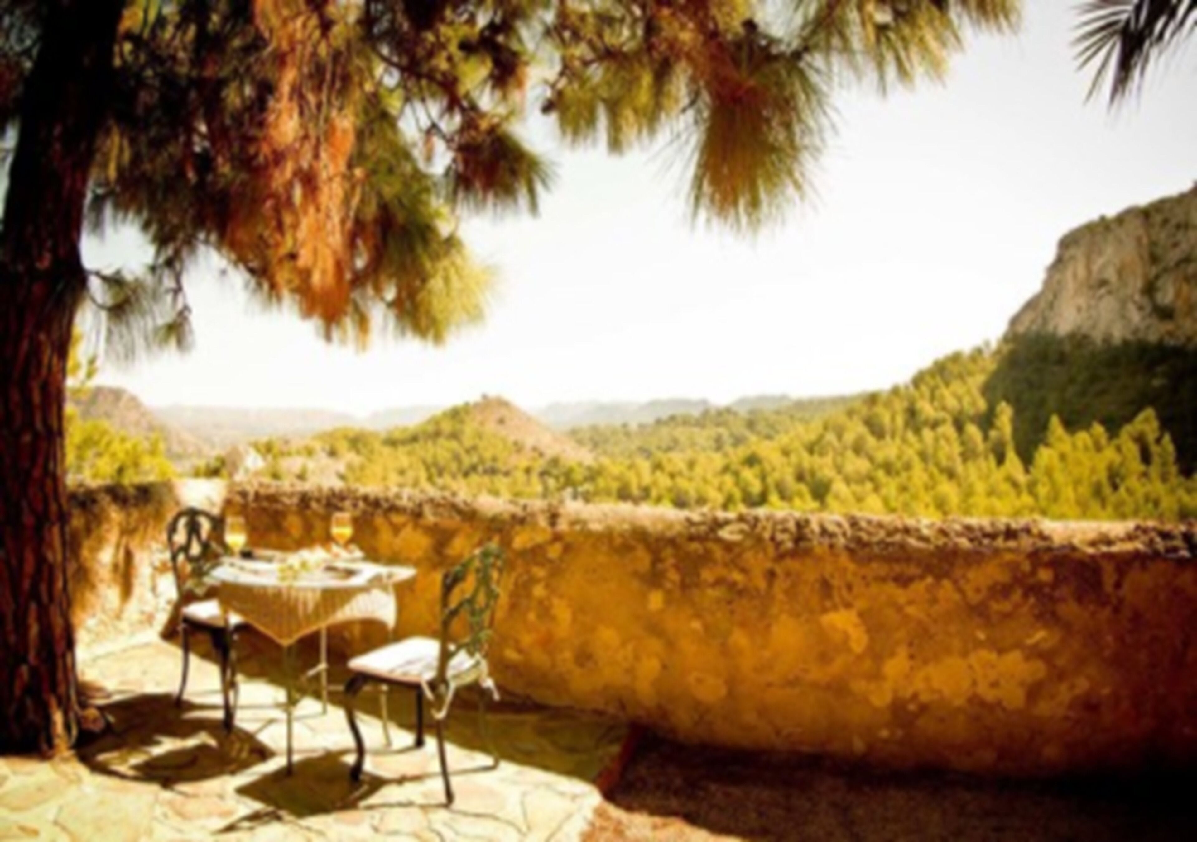 Breakfast, lunch and dinner served