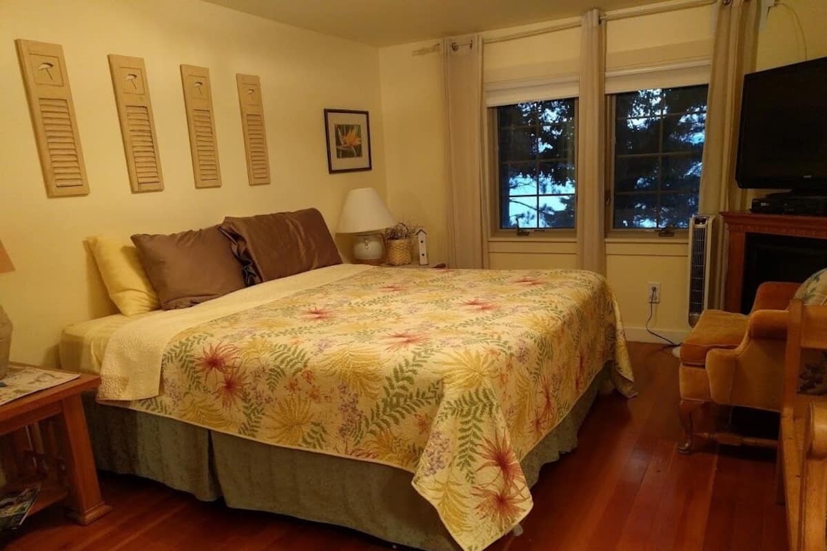 A bedroom with a bed, a television, a window with a view of trees, and a fireplace.