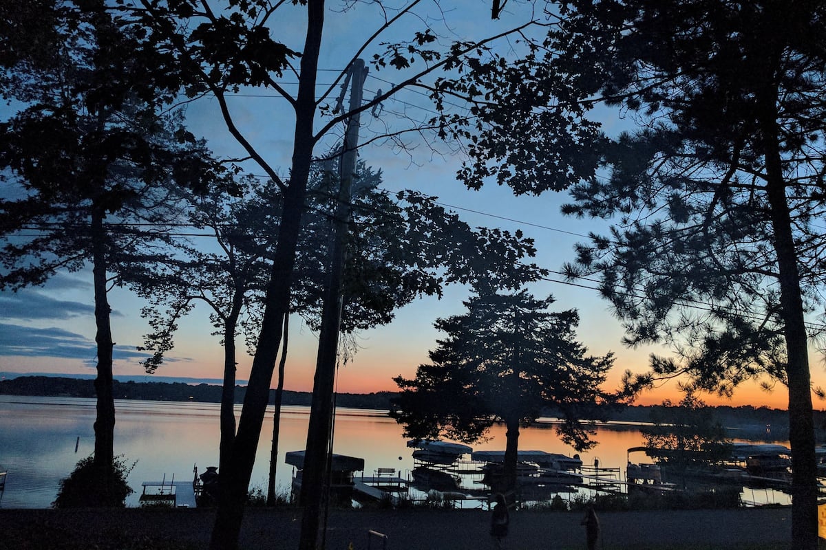 A lakeside view with trees, a dock, and boats.