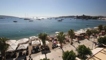 Vista desde la propiedad