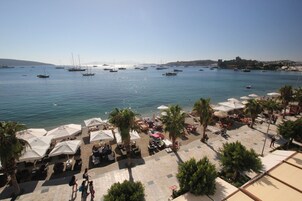 Vista da propriedade