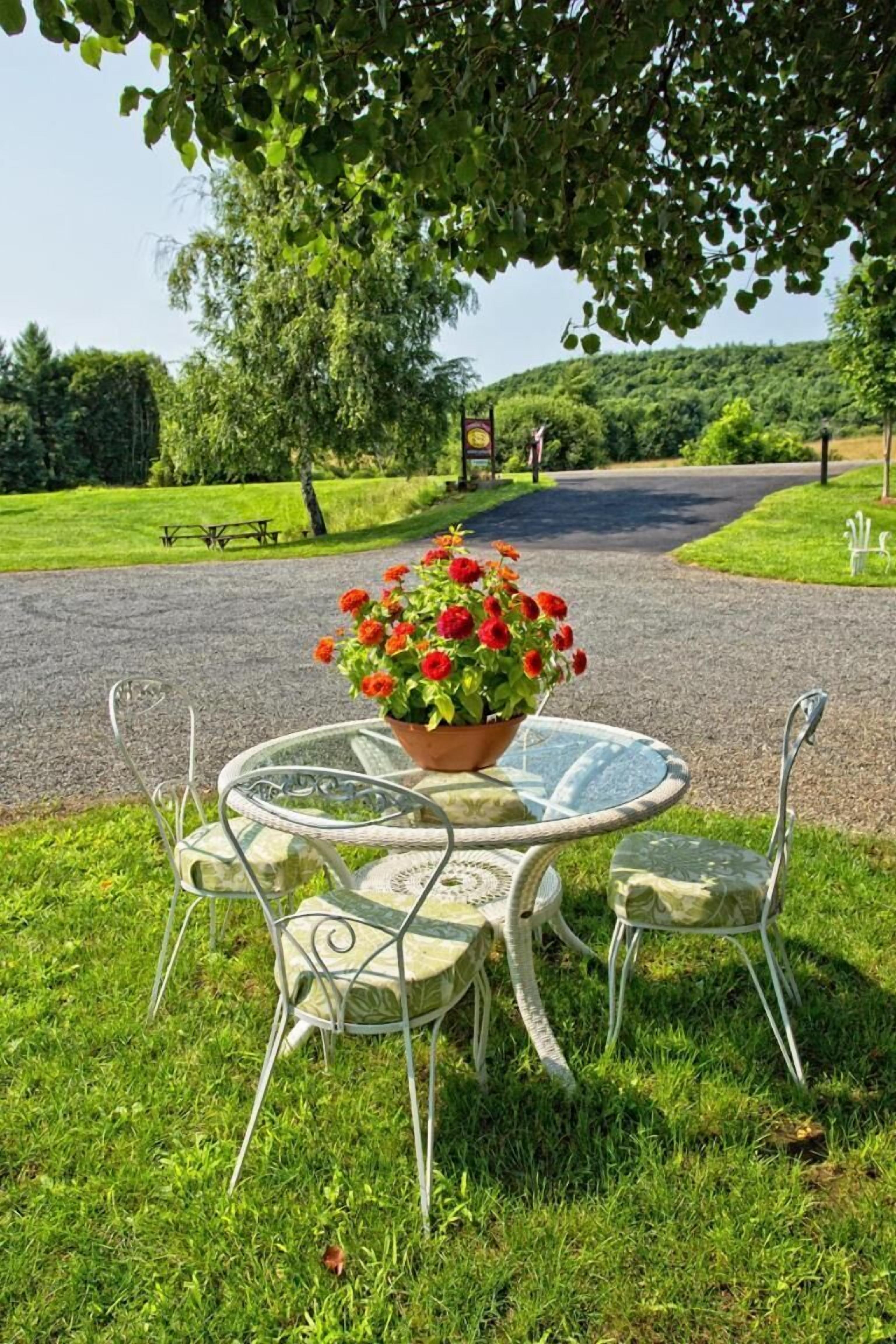 A round glass table with metal chairs, a potted red flower arrangement, and a paved path in a park setting.