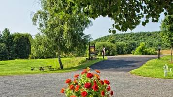 A round glass table with metal chairs, a potted red flower arrangement, and a paved path in a park setting.
