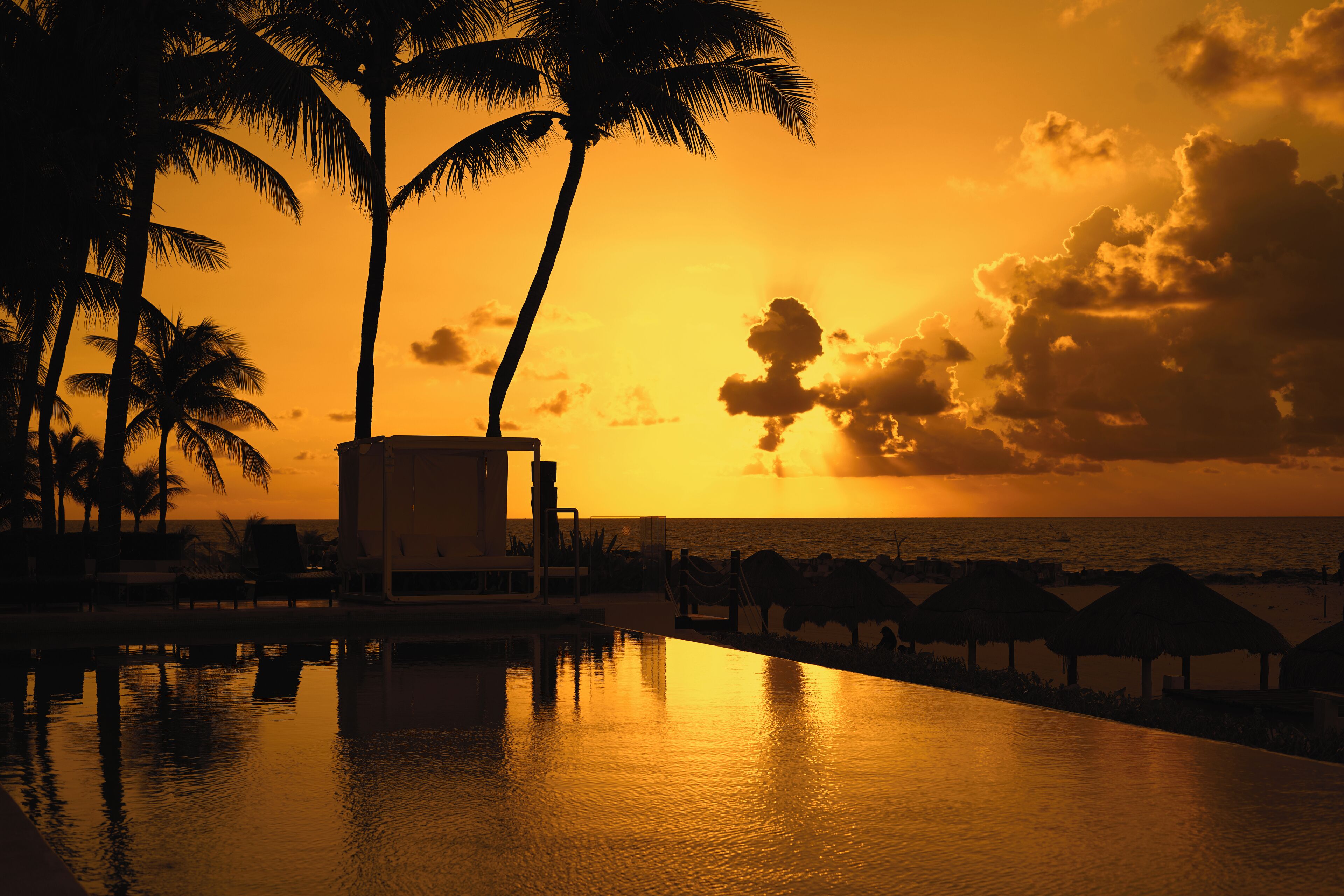 Vista de la piscina con palmeras y atardecer.