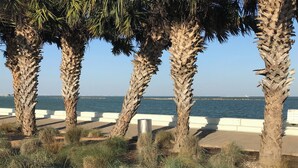 A coastal promenade with palm trees and a view of the sea. -  Copano Bay Sunset - LOCATION! LOCATION! LOCATION!!! (Rockport)