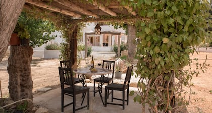 Amplia casa de campo tradicional andaluza con impresionante piscina privada.