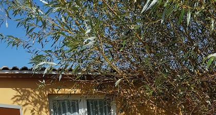 Studio in quiet garden 