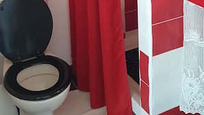 A bathroom with a toilet, a red shower curtain, and a tiled wall with red and white tiles. - Studio in quiet garden  (Vieillevigne)
