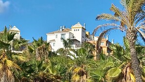 Eine Küstenlandschaft mit Palmen und Gebäuden im Hintergrund.