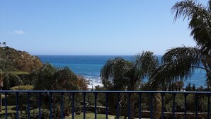 Ein Balkon mit Blick auf den Ozean, einer Geländer und etwas Grün.