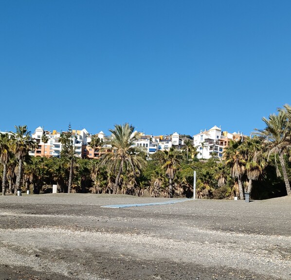 Una zona costiera con edifici, palme e cielo sereno.