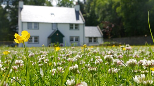 Braemore Walled Garden B&B