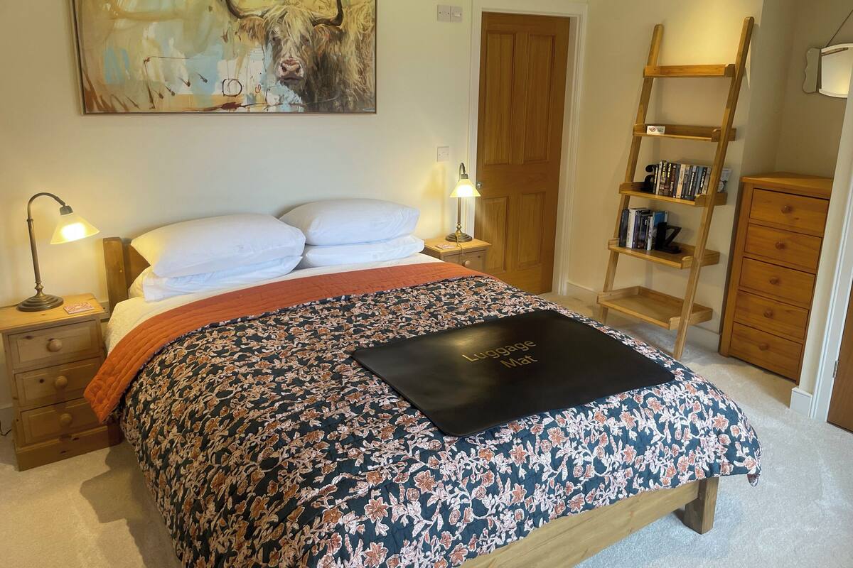 Une chambre à coucher comprenant un lit, une table de chevet, une lampe de chevet, une échelle en bois, une bibliothèque et une porte.