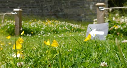 Braemore Walled Garden B&B
