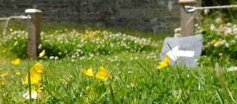Braemore Walled Garden B&B