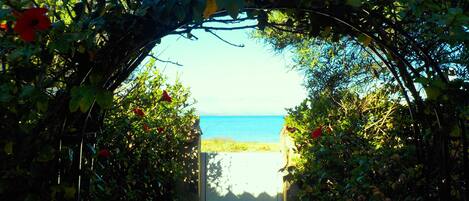 Terrein van de accommodatie