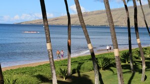 Une plage bordée de palmiers, un bateau et des personnes se promenant le long du rivage.