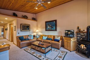 TV, fireplace, DVD player, books