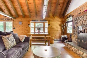 Smart TV, chimenea, consola de videojuegos, libros