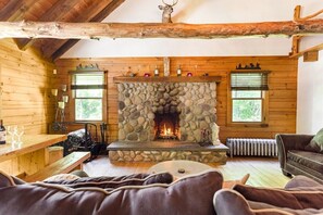 Smart TV, chimenea, consola de videojuegos, libros