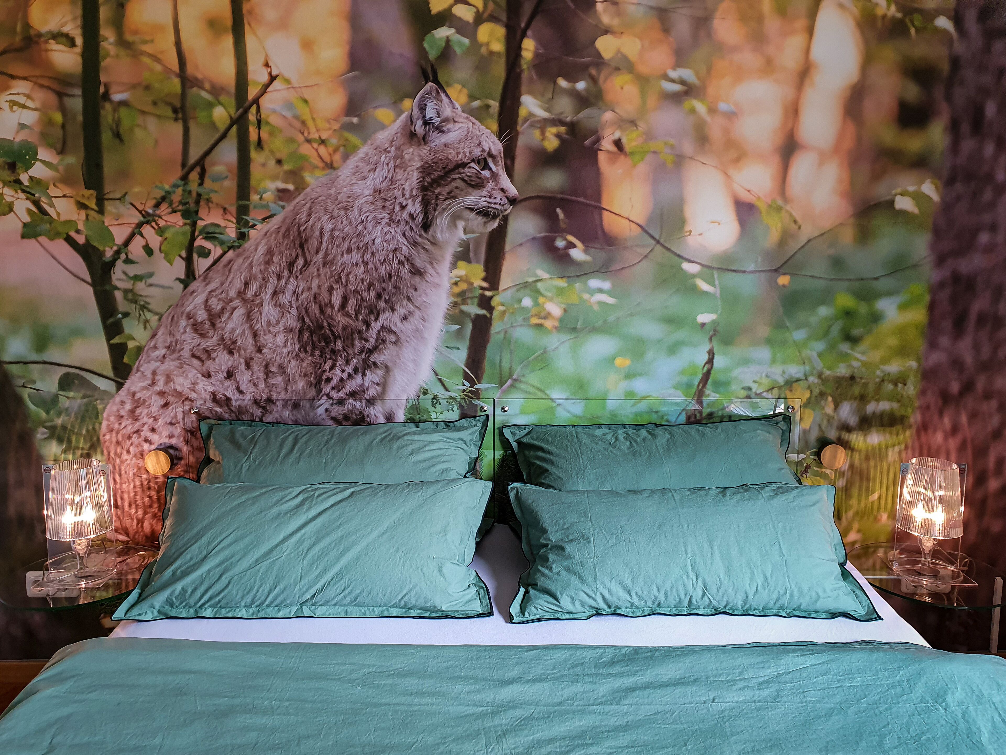 2 Schlafzimmer, Bügeleisen/Bügelbrett, Internetzugang, Bettwäsche