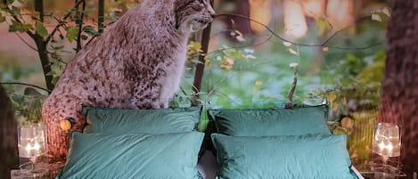 2 Schlafzimmer, Bügeleisen/Bügelbrett, Internetzugang, Bettwäsche
