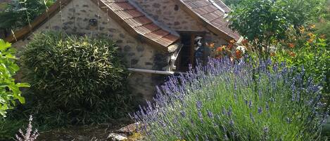 المنطقة المحيطة بالمنشأة